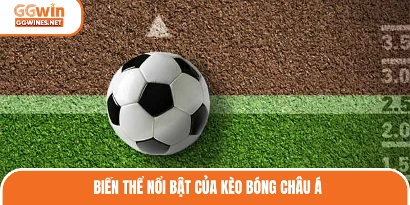 Cách chơi kèo bóng châu Á phổ biến