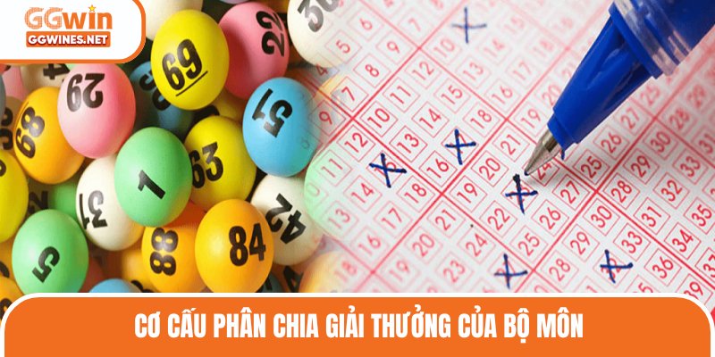 Cơ cấu phân chia giải thưởng của bộ môn 