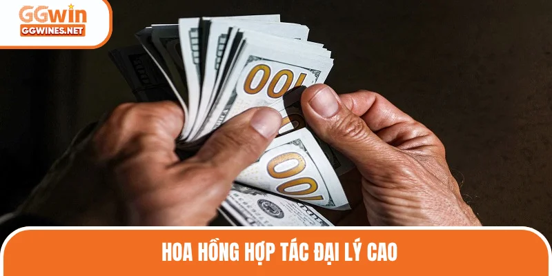 Nhà cái cung cấp mức hoa hồng khủng