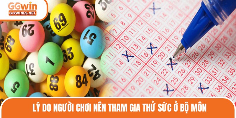 Lý do người chơi nên tham gia thử sức ở bộ môn 