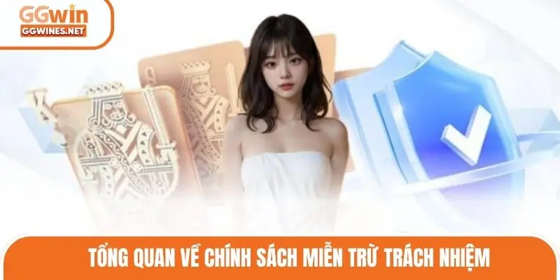 Tổng quan về chính sách miễn trừ trách nhiệm